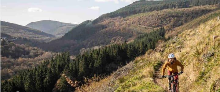 Vila Afan House Pontrhydyfen Exteriér fotografie