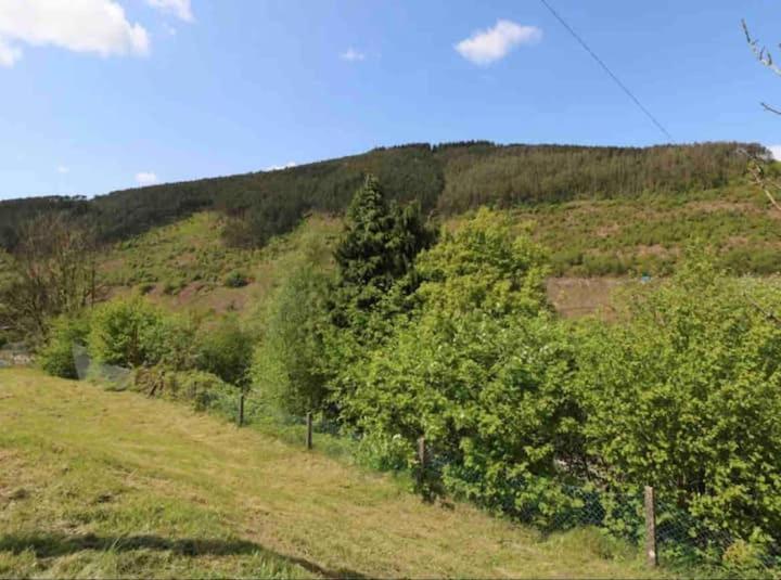 Vila Afan House Pontrhydyfen Exteriér fotografie